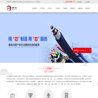 安防线缆