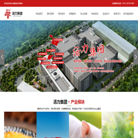 活力集团