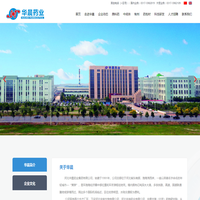 河北华晨药业集团有限公司