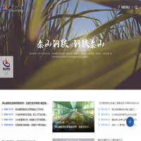 山东泰山钢铁集团有限公司